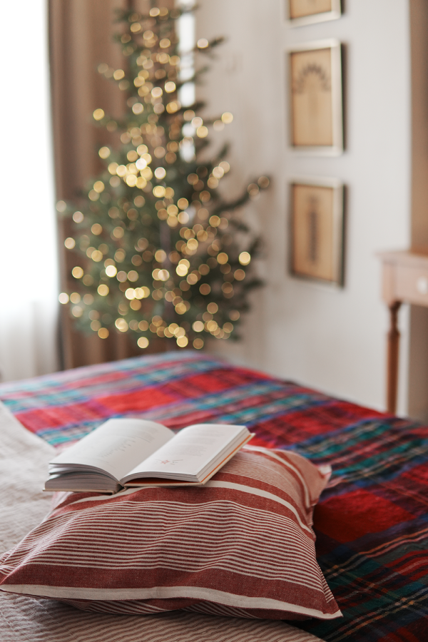 Classic Red Ticking Cushion Cover - Image 4