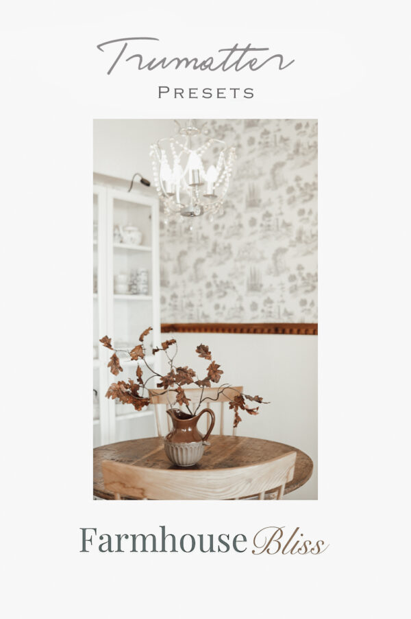 Light & Airy Bundle (all 4 presets) - Image 5
