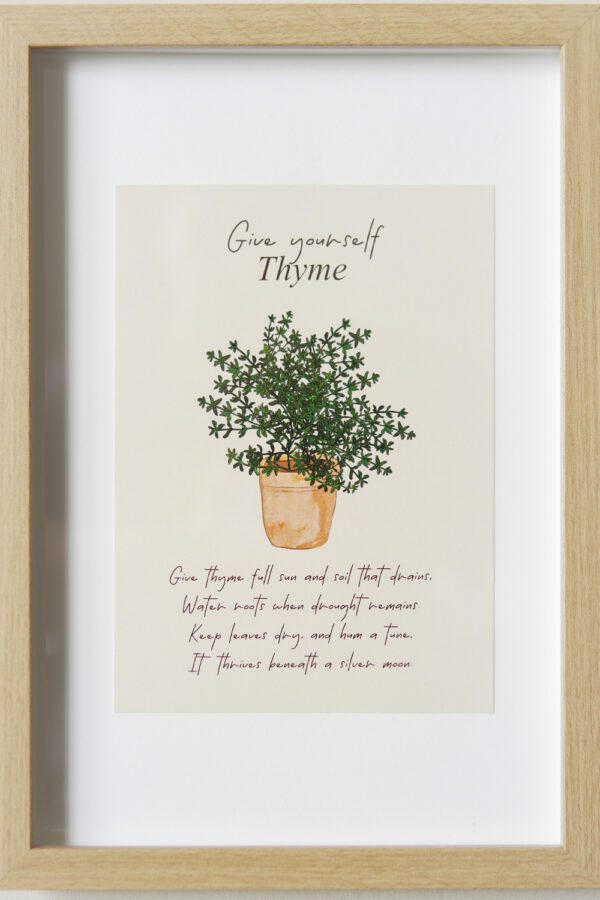 The Gift of Thyme - Image 2